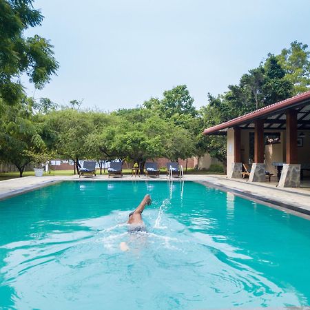 Yala Chalets By Lalan Leisure キリンダ エクステリア 写真