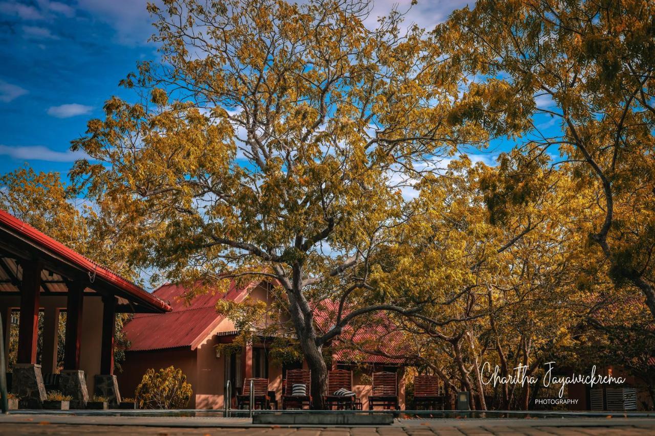 Yala Chalets By Lalan Leisure キリンダ エクステリア 写真