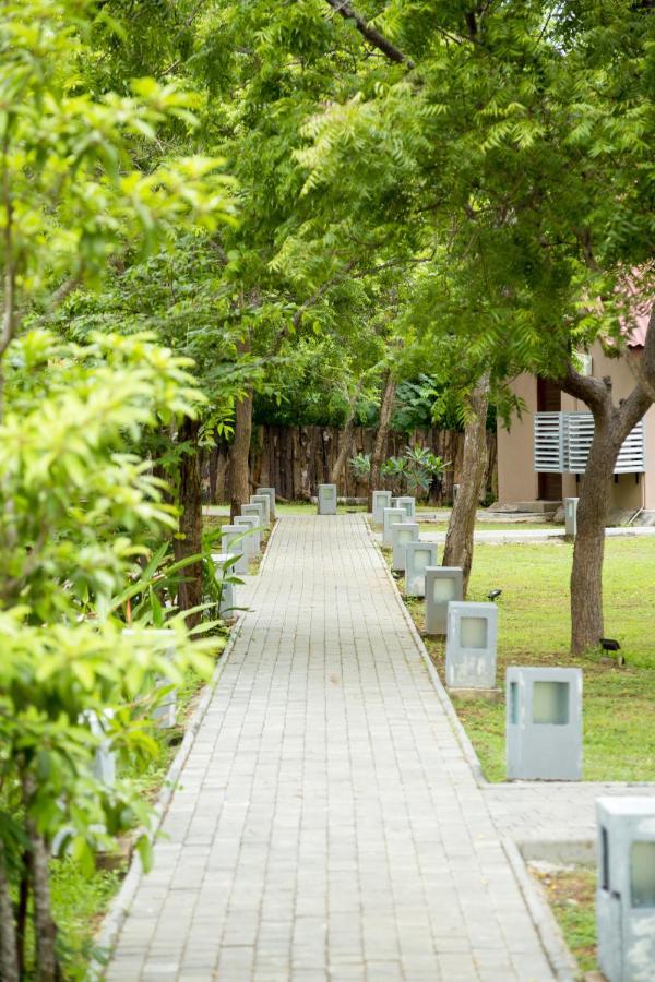 Yala Chalets By Lalan Leisure キリンダ エクステリア 写真