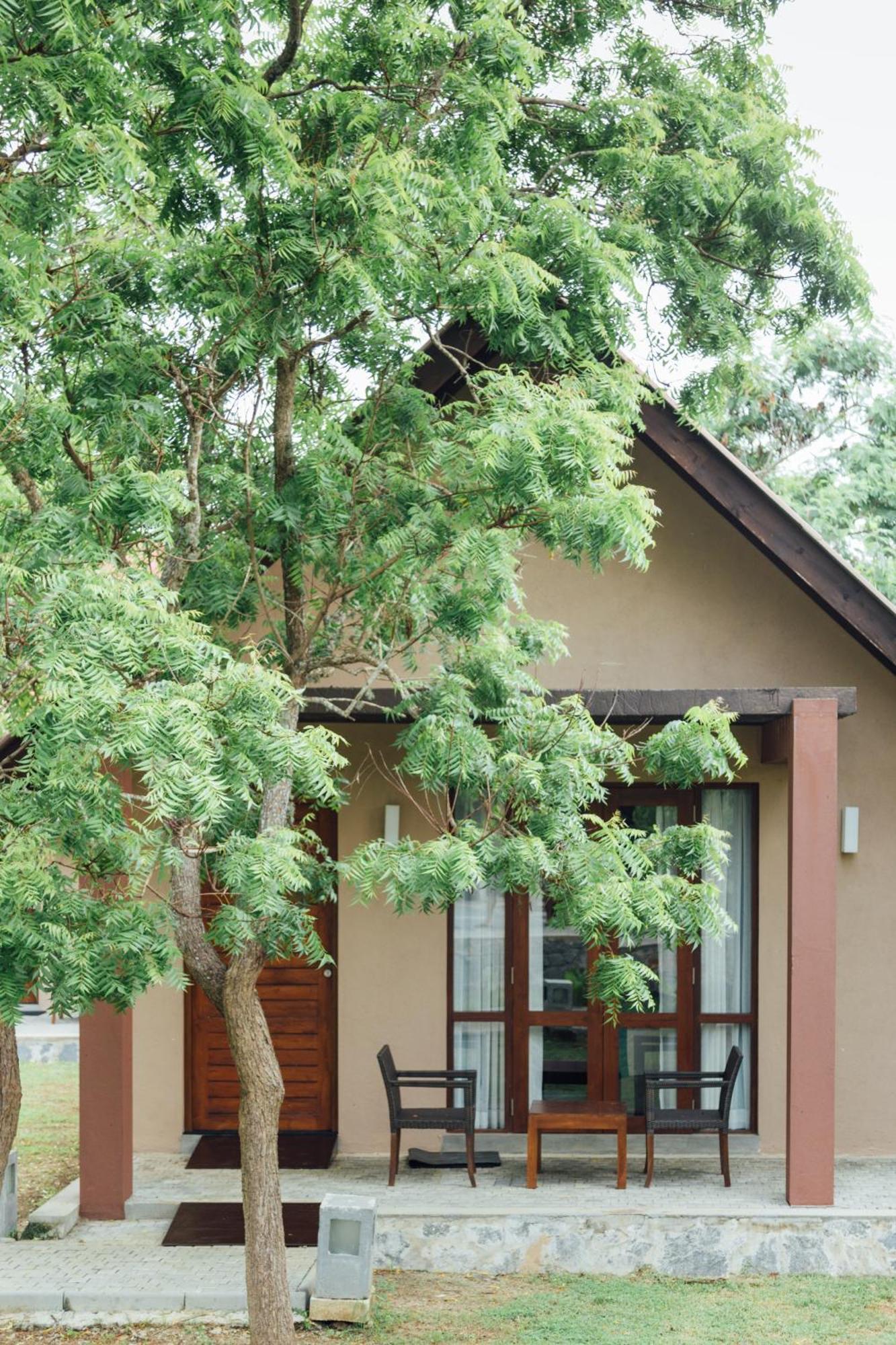 Yala Chalets By Lalan Leisure キリンダ エクステリア 写真